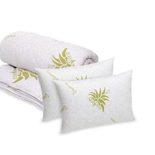 Pilota Bedora Aloe Vera+ 2 Perne Bedora Aloe Vera COD PER02 Pilota Bedora Aloe Vera+ 2 Perne Bedora Aloe Vera COD PER02