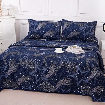 Cuvertura Matlasata cu 2 Fete COD CM25 Cuvertura Matlasata cu 2 Fete COD CM25